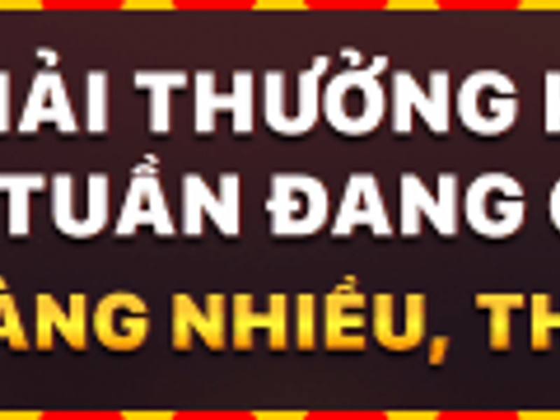 VIP Bạch Kim, trạng thái ưu tú